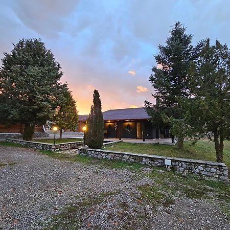 Orino Livadi Mount Villa IV Arachova Ngoại thất bức ảnh