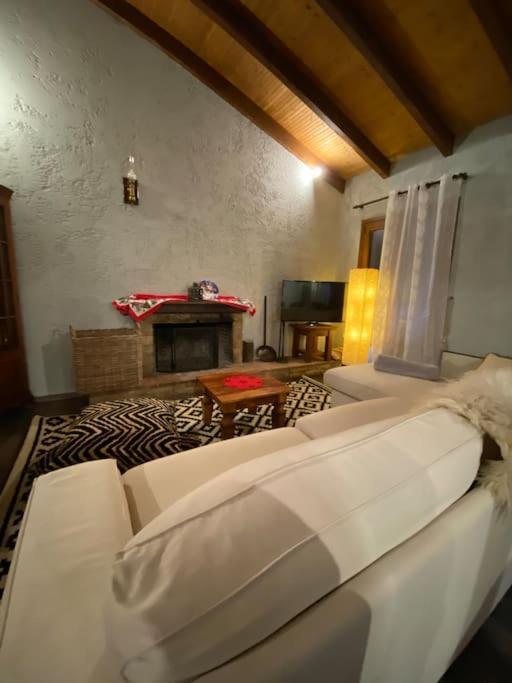 Orino Livadi Mount Villa IV Arachova Ngoại thất bức ảnh