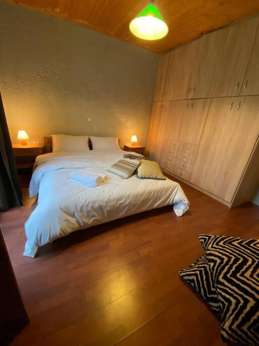 Orino Livadi Mount Villa IV Arachova Ngoại thất bức ảnh